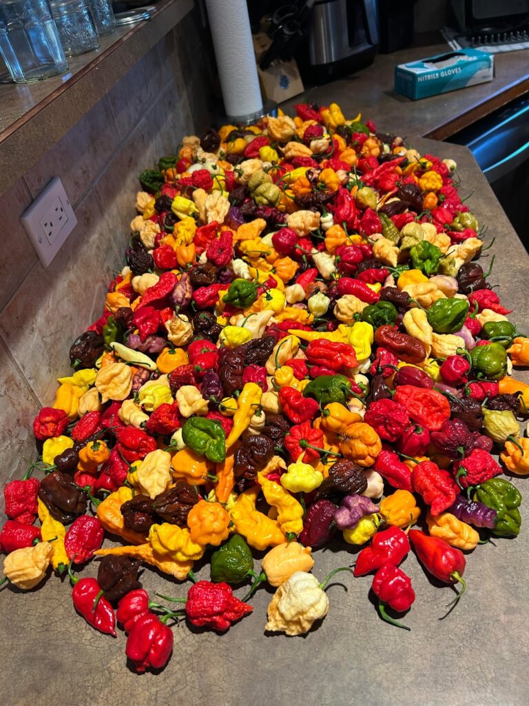 20lbs of mostly superhots to powder!