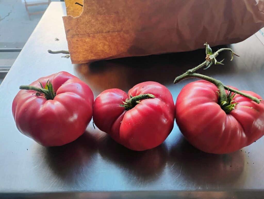 One of my favs. Pink German