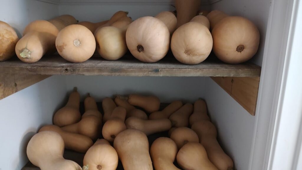 Butternut are the bomb!