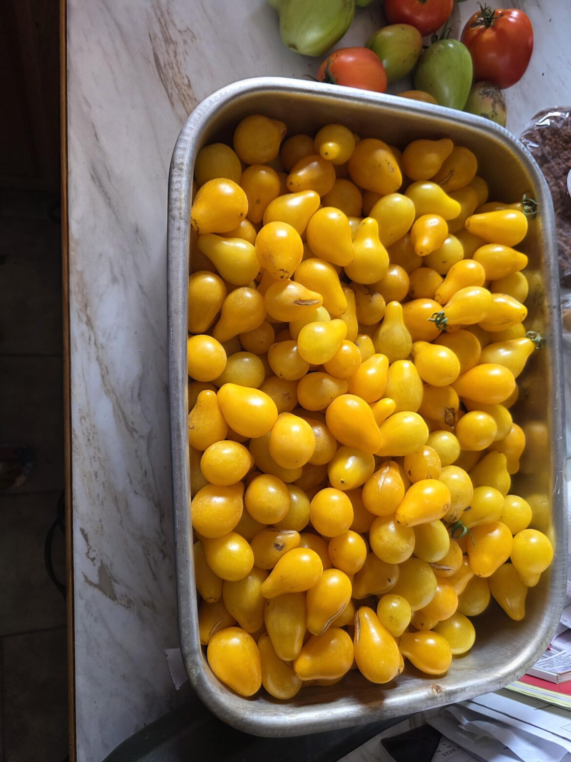 So many tomatoes. Idk what to do with them all.