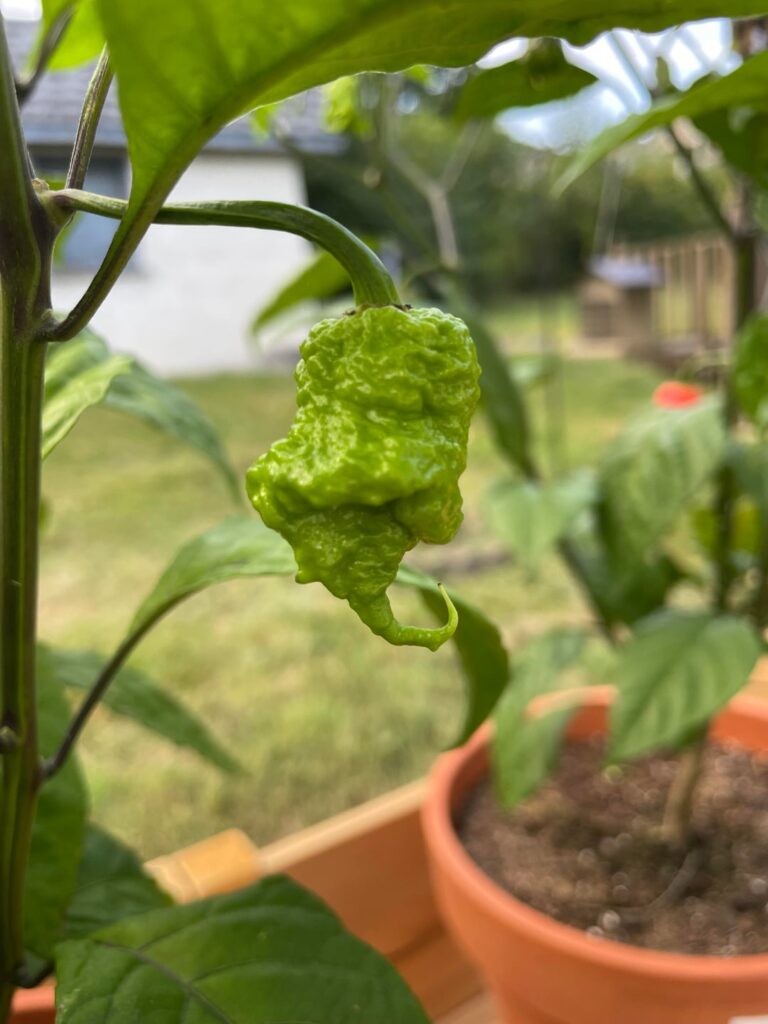 “The Grinch” before and after