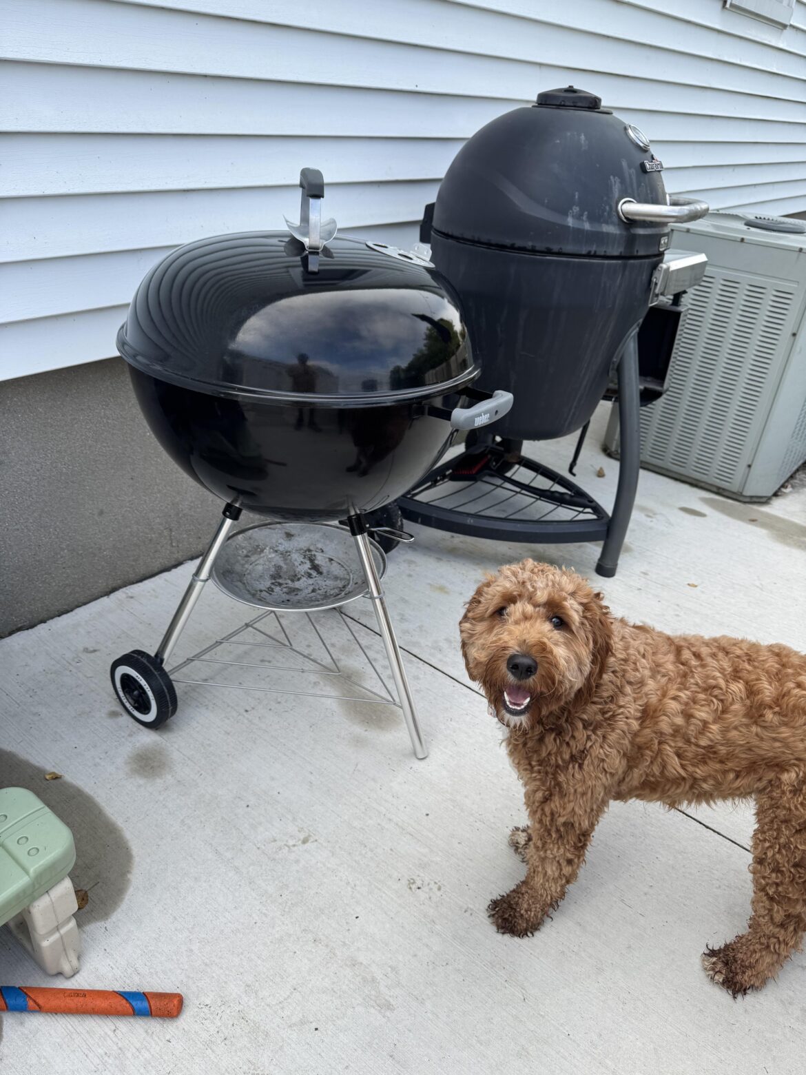 New grill day!