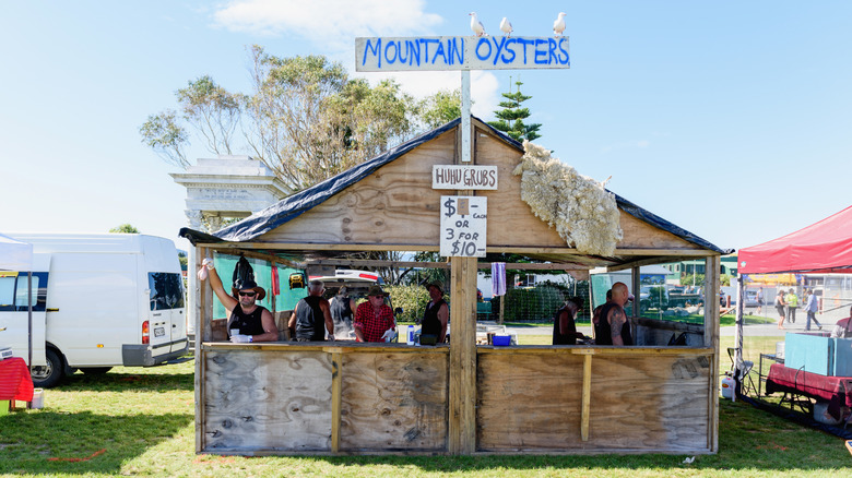 A rustic booth serving mountain oysters and huhu grubs at the Hokitika Wildfoods Festival