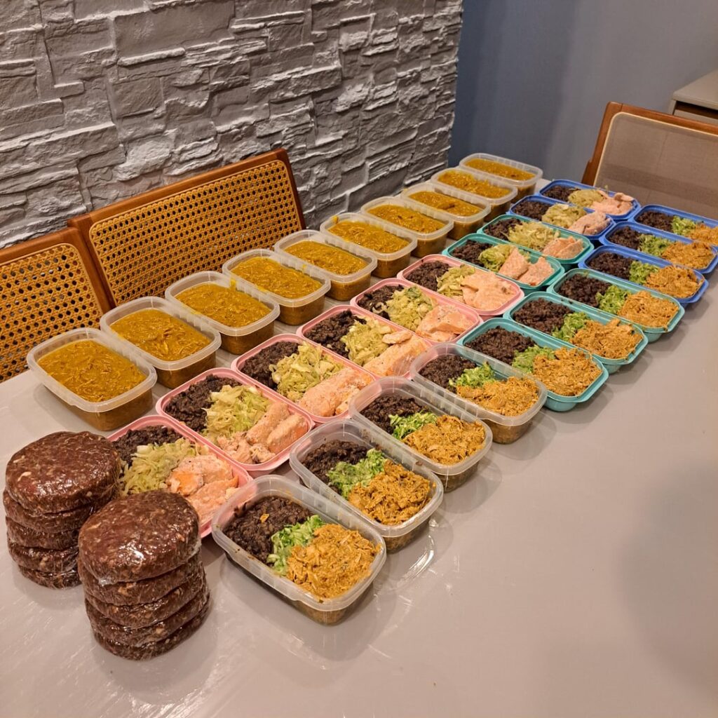 Monthly meal prep – 40 meals (lunch + dinner)
