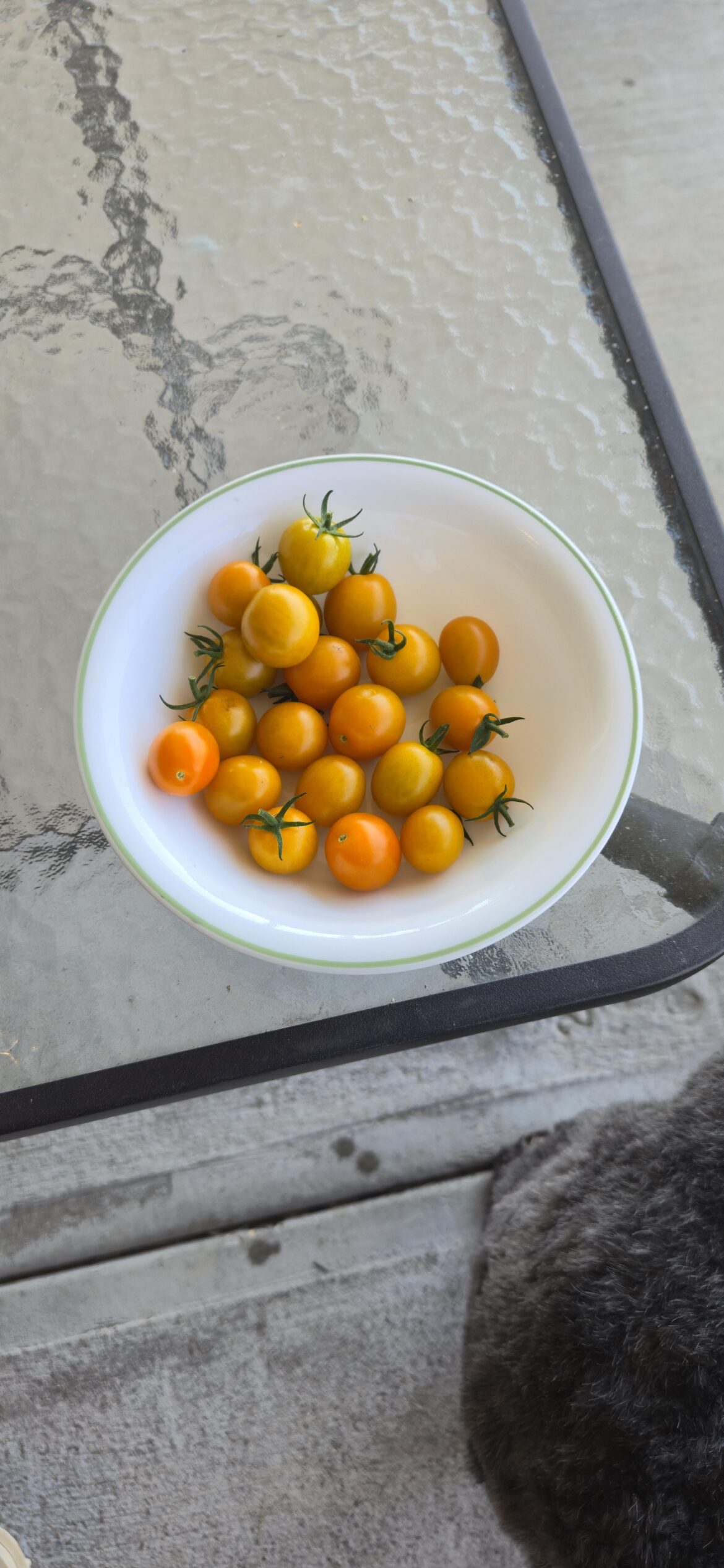 It's happening again!