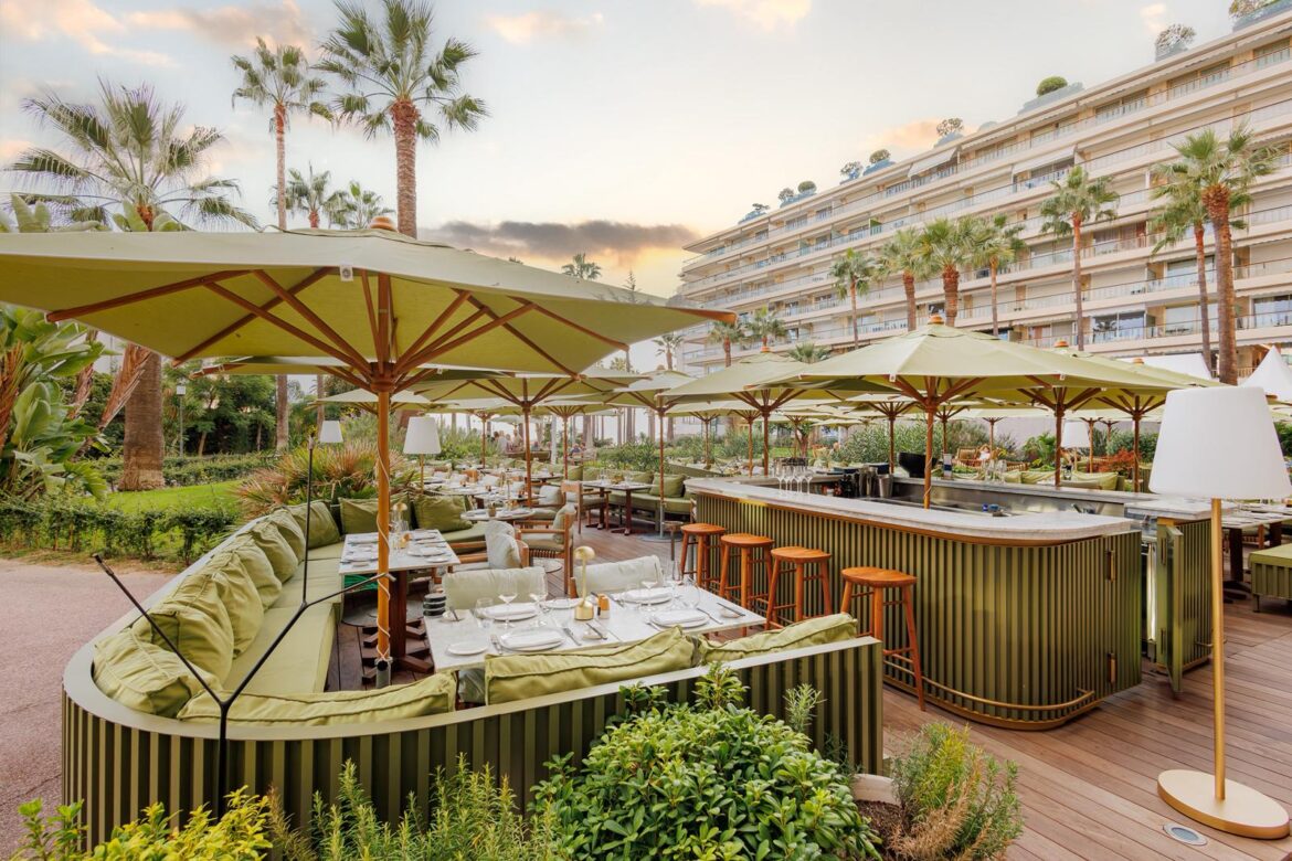 Restaurant Mr. Nakamoto: Culinary Boldness with Chopsticks! Restaurant Mr. Nakamoto: Culinary Boldness with Chopsticks!