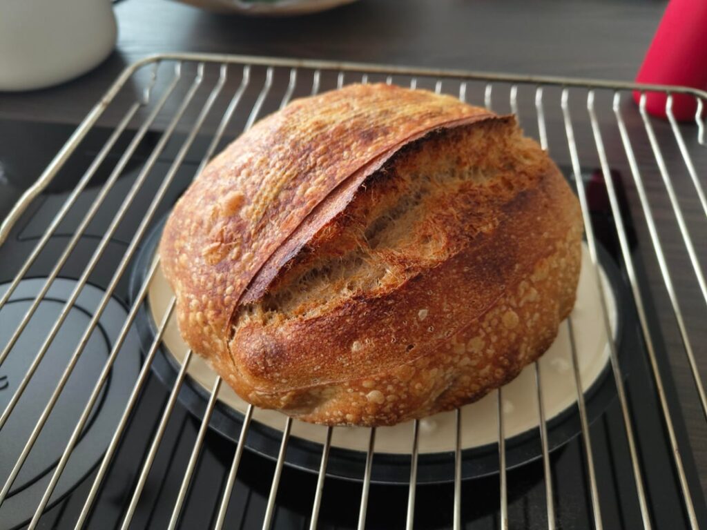 My first loaf, I believe it turned out fine? My first loaf, I believe it turned out fine?