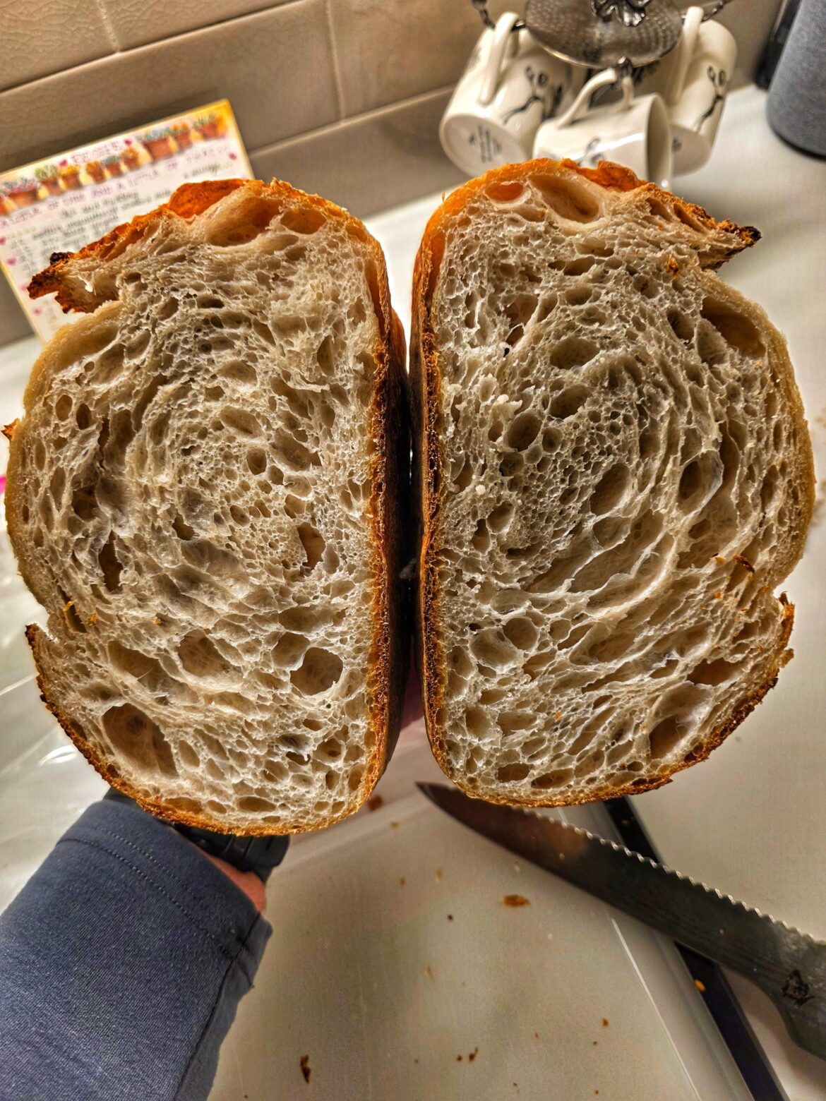 Starter went bad after 11 years of faithful service. First bake with my new one.