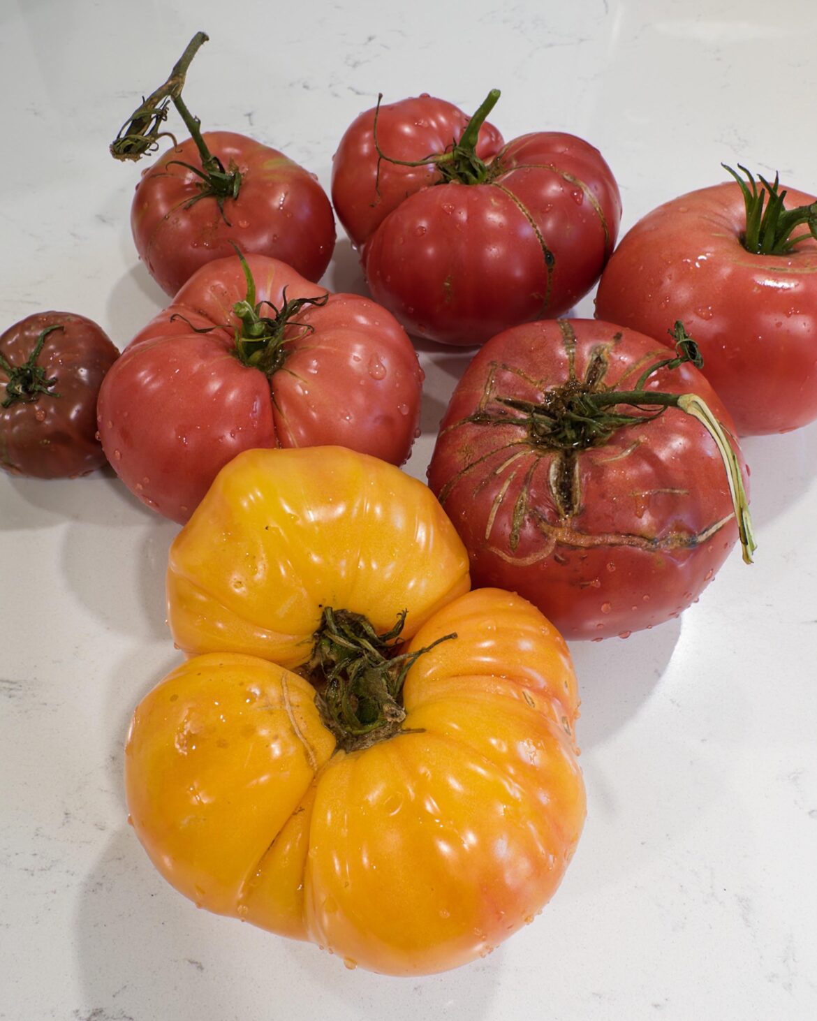 first time doing this 🥹