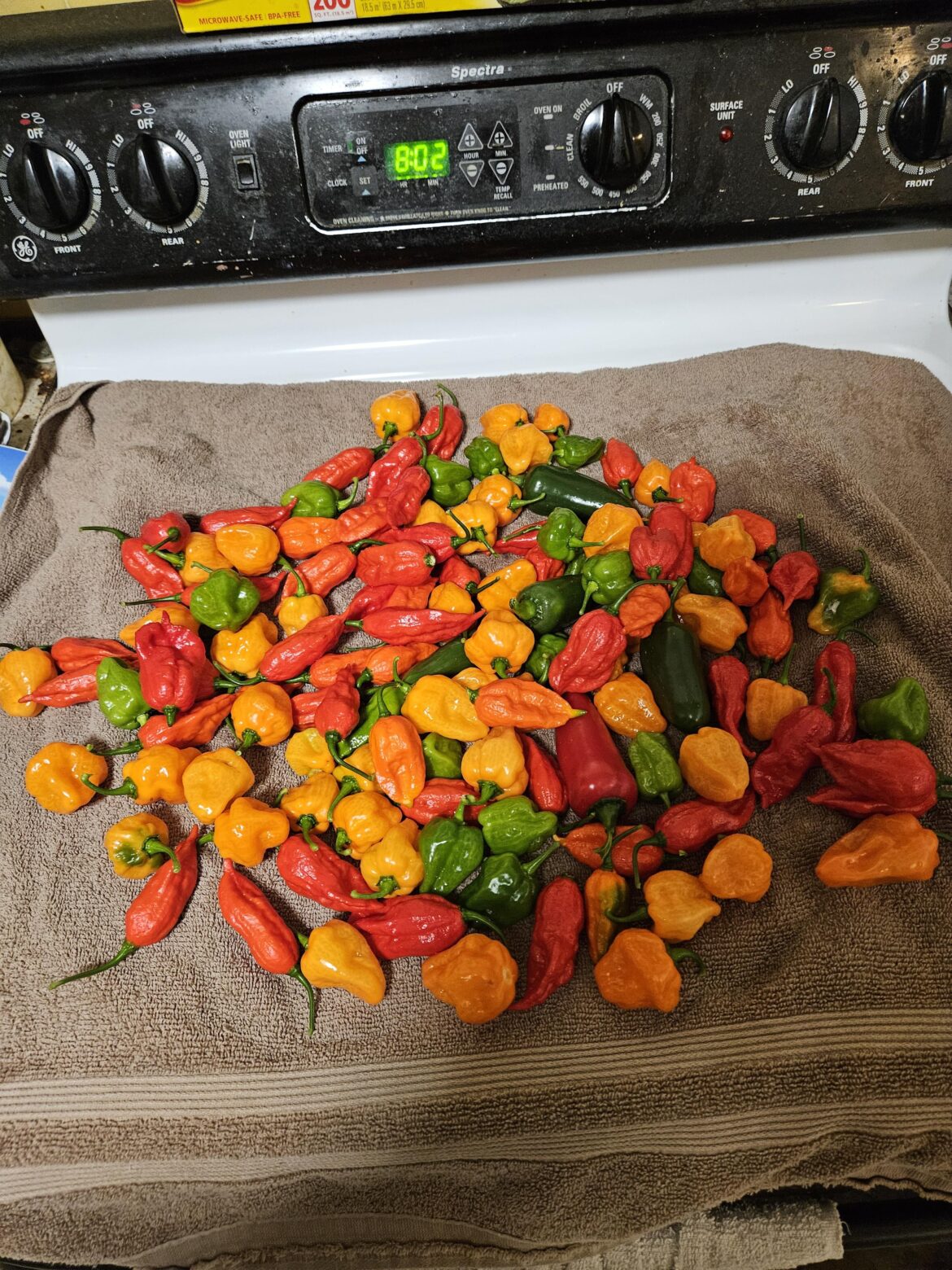 My first real harvest My first real harvest