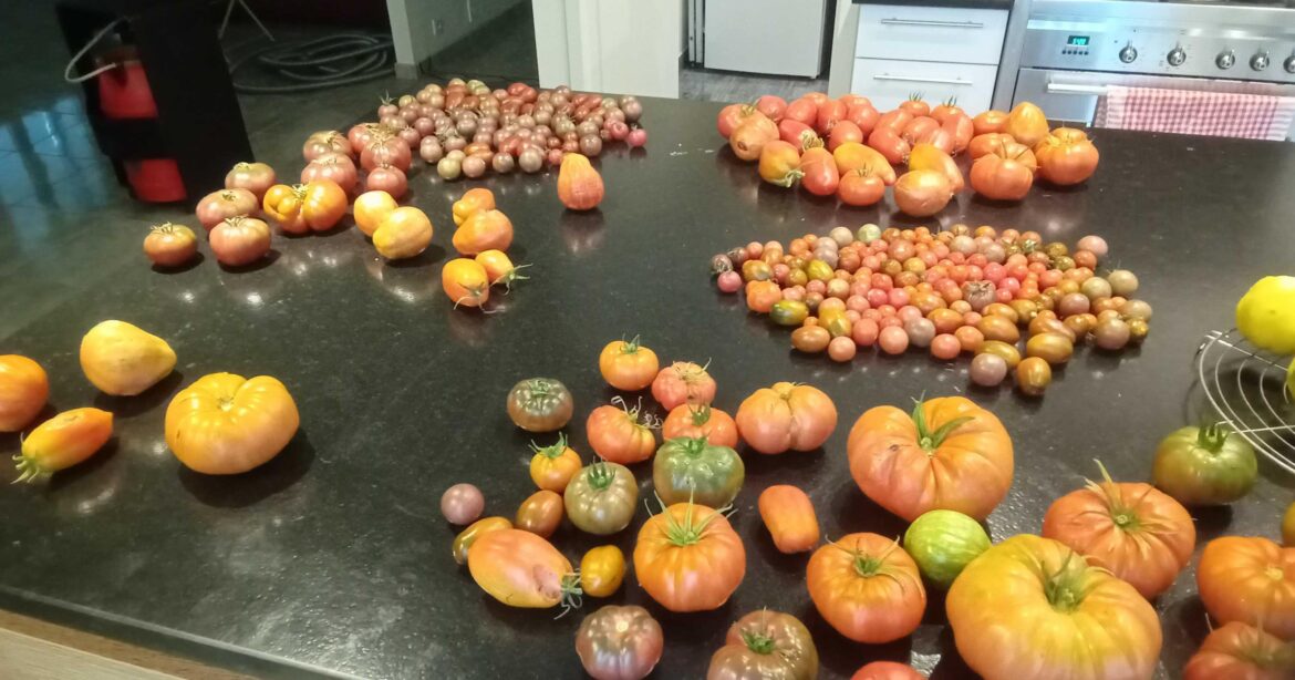 Probably the last harverst of the season. See y'all next year !