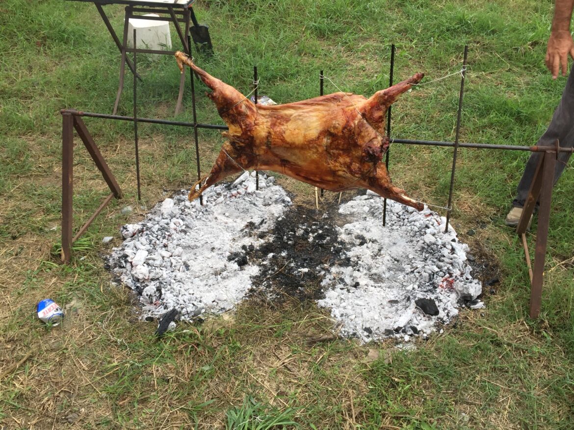 Borrego at my Uncle’s ranch in Monterrey.