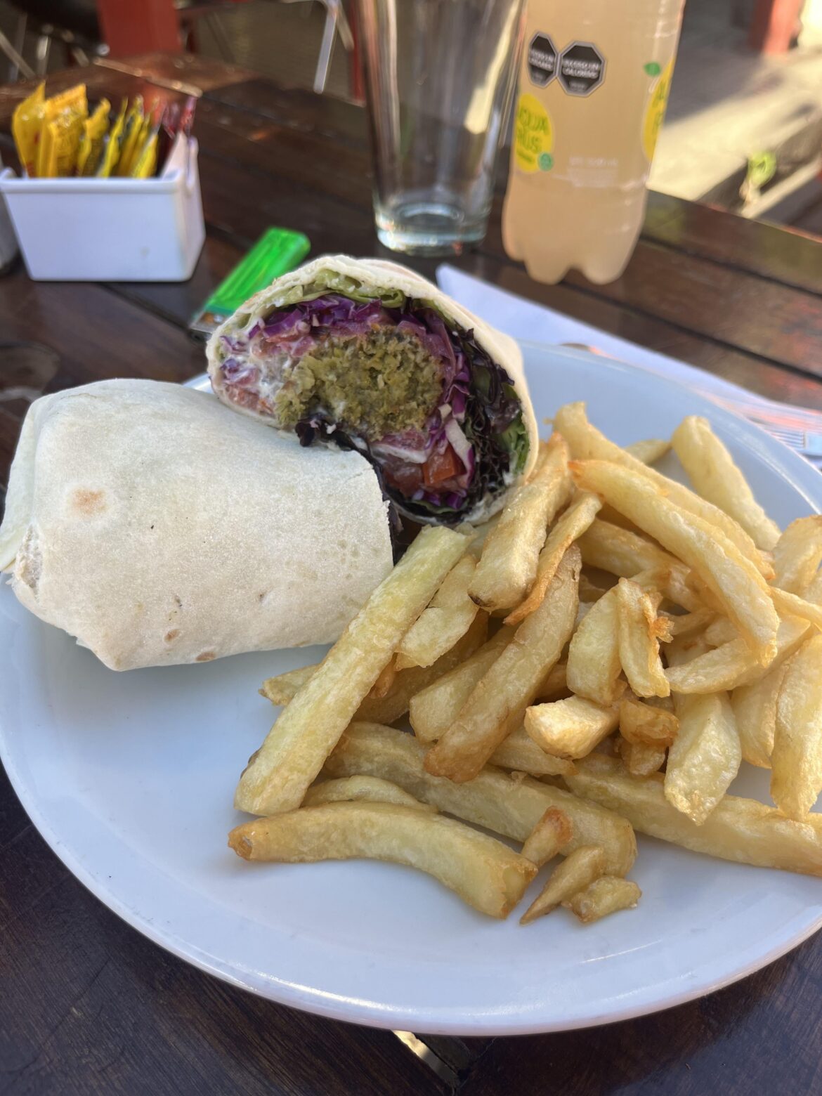 Falafel wrap with vegetables and fries! Delight in Castelar, Argentina! Have you ever visited Argentina?