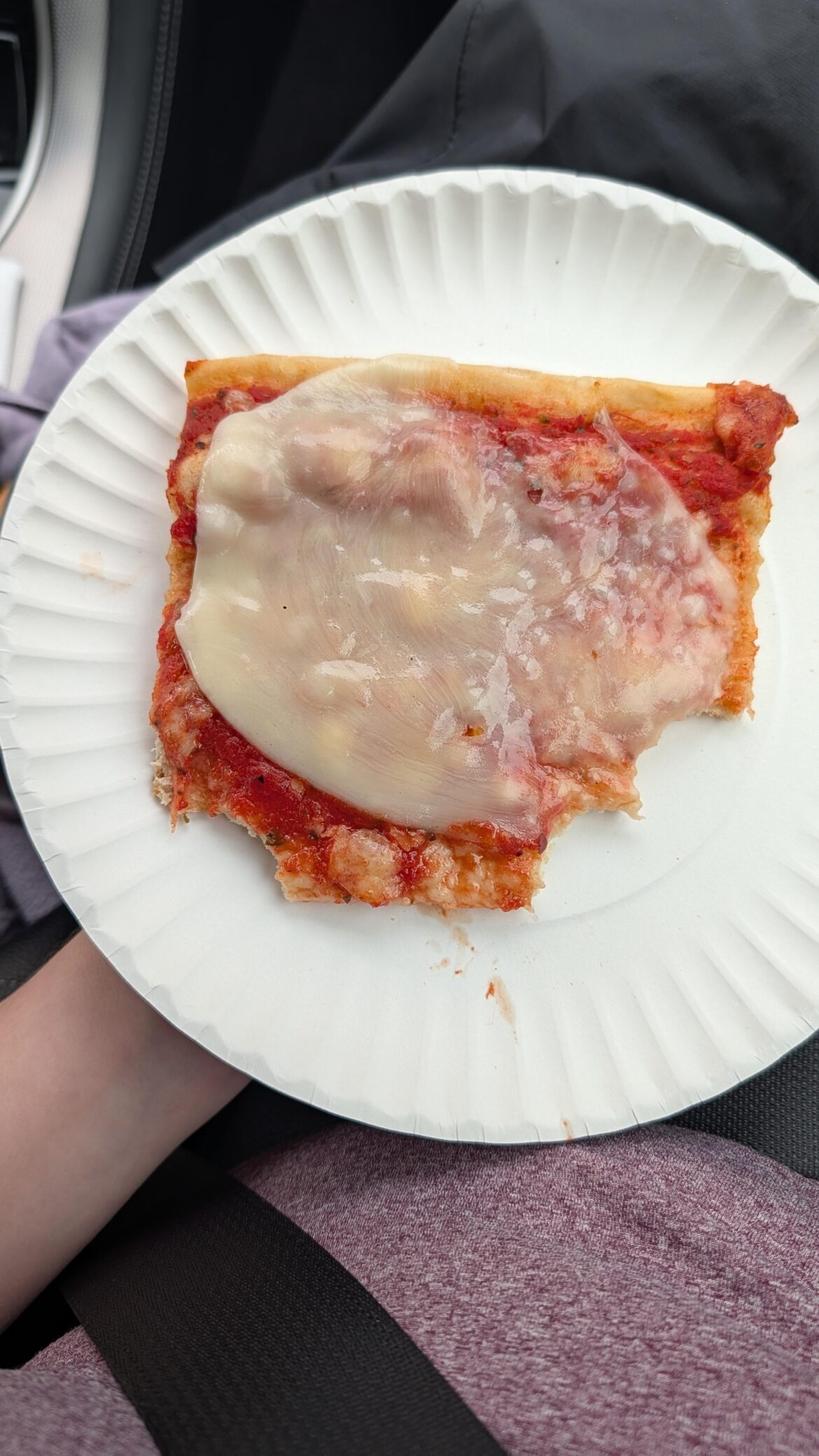 What we here in New England refer to as “beach pizza” What we here in New England refer to as "beach pizza"