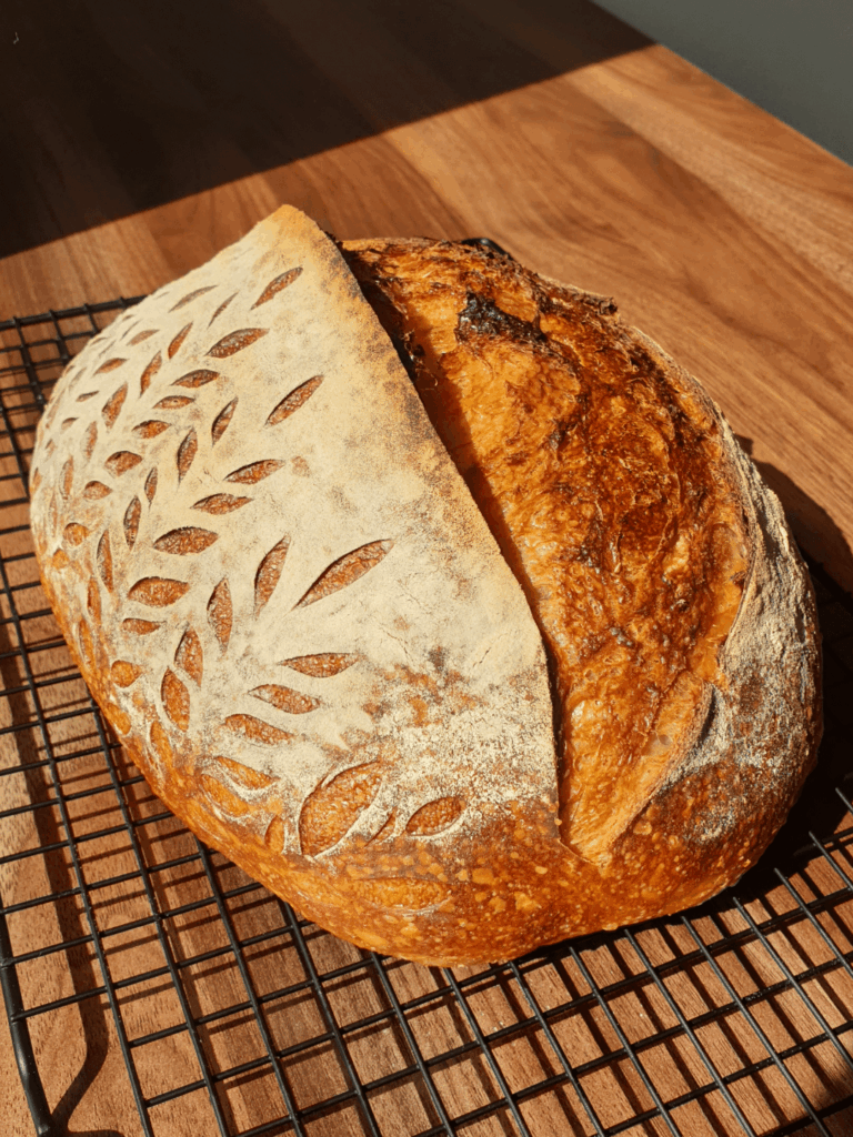 Proud of this beauty!