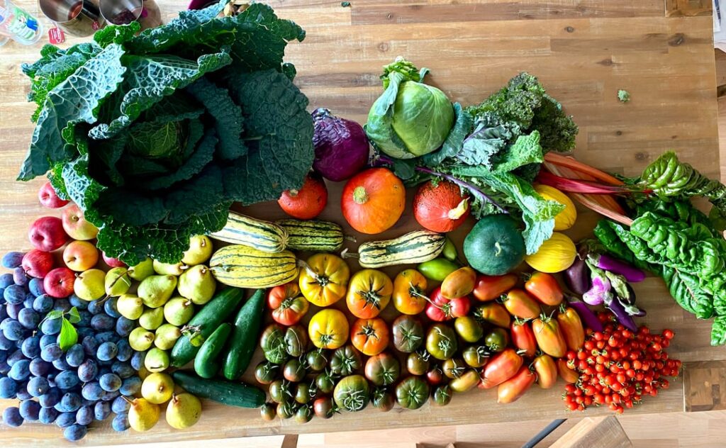 Today’s harvest. Love this time of year! Love my little garden.