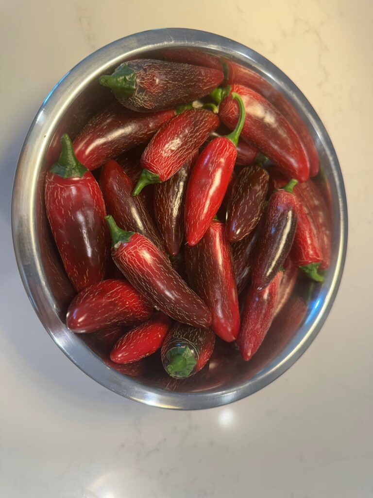 First batch of sauce done! First batch of sauce done!