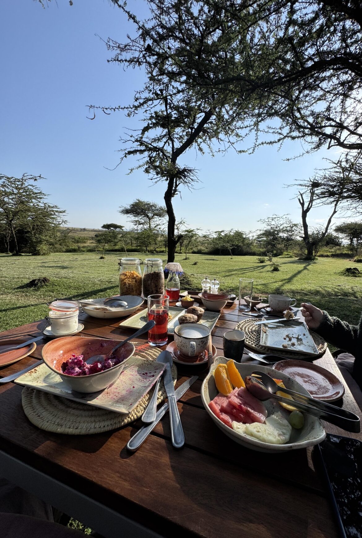 Bush Breakfast in Maasai Mara