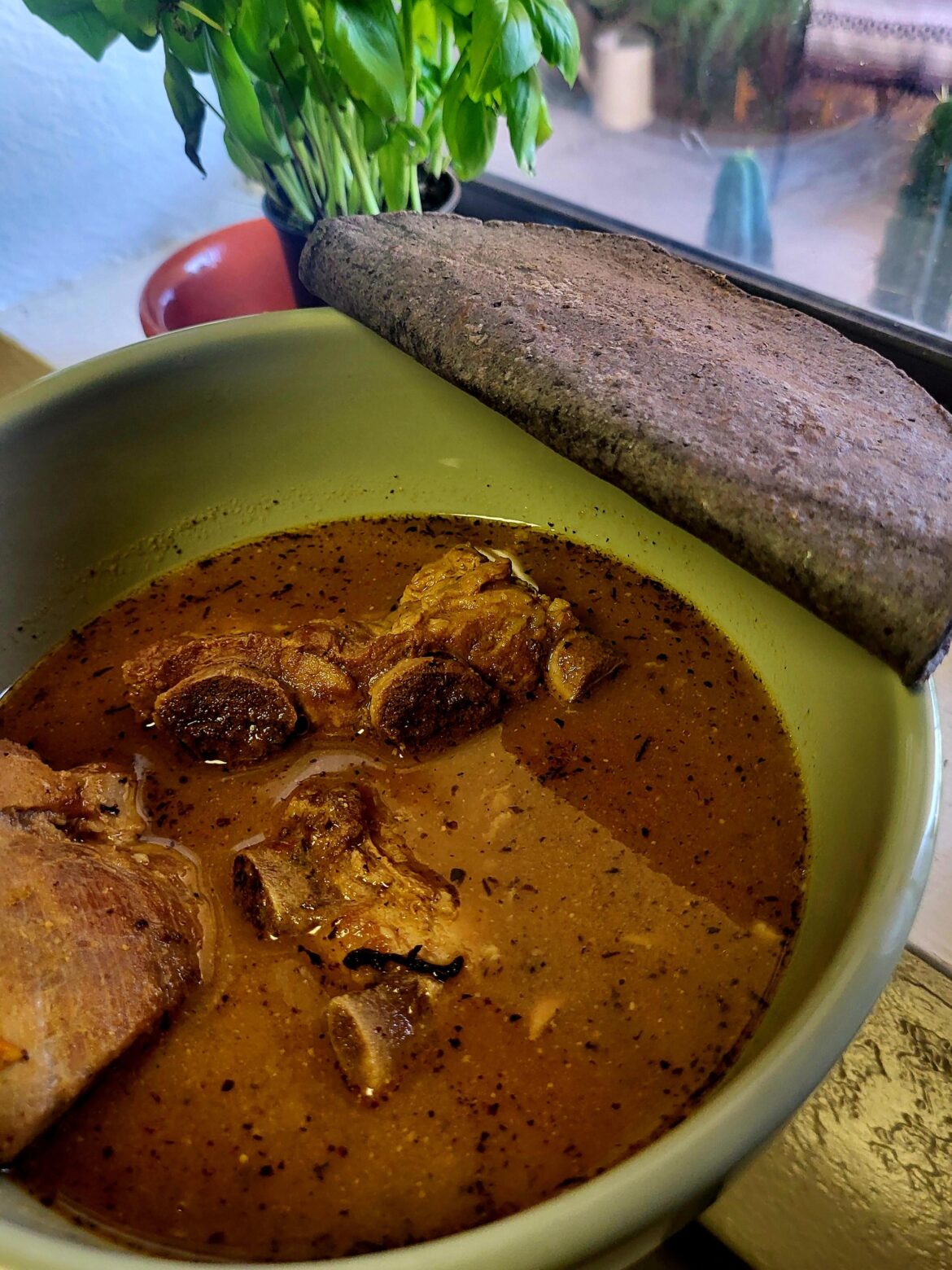 Una mas del Mole de chicatanas.