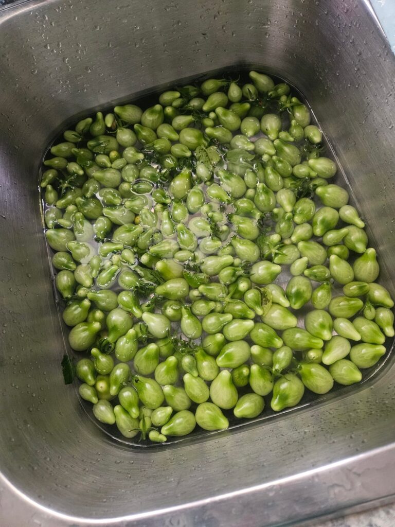 This is what happens when you leave for a 3 week vacation...