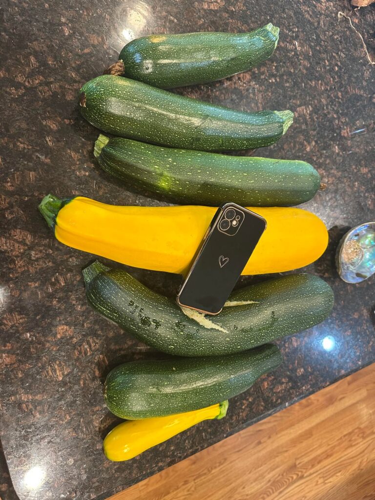 I didn’t check the garden for 3 days