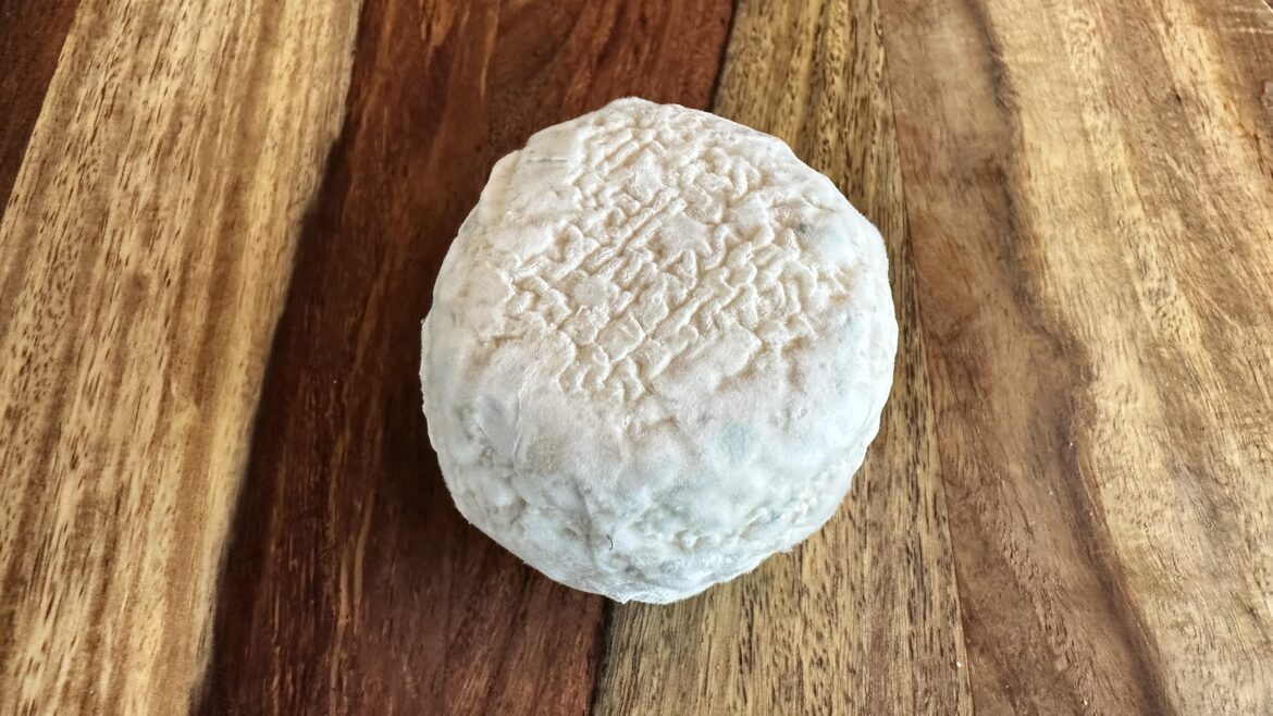 Chavignol Plus Âgé