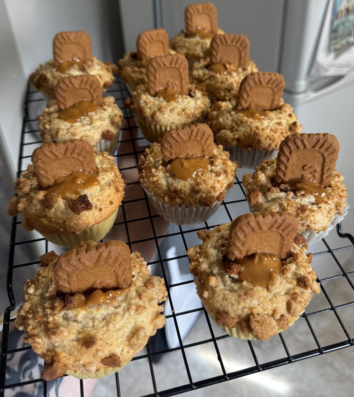 Some muffins I baked today