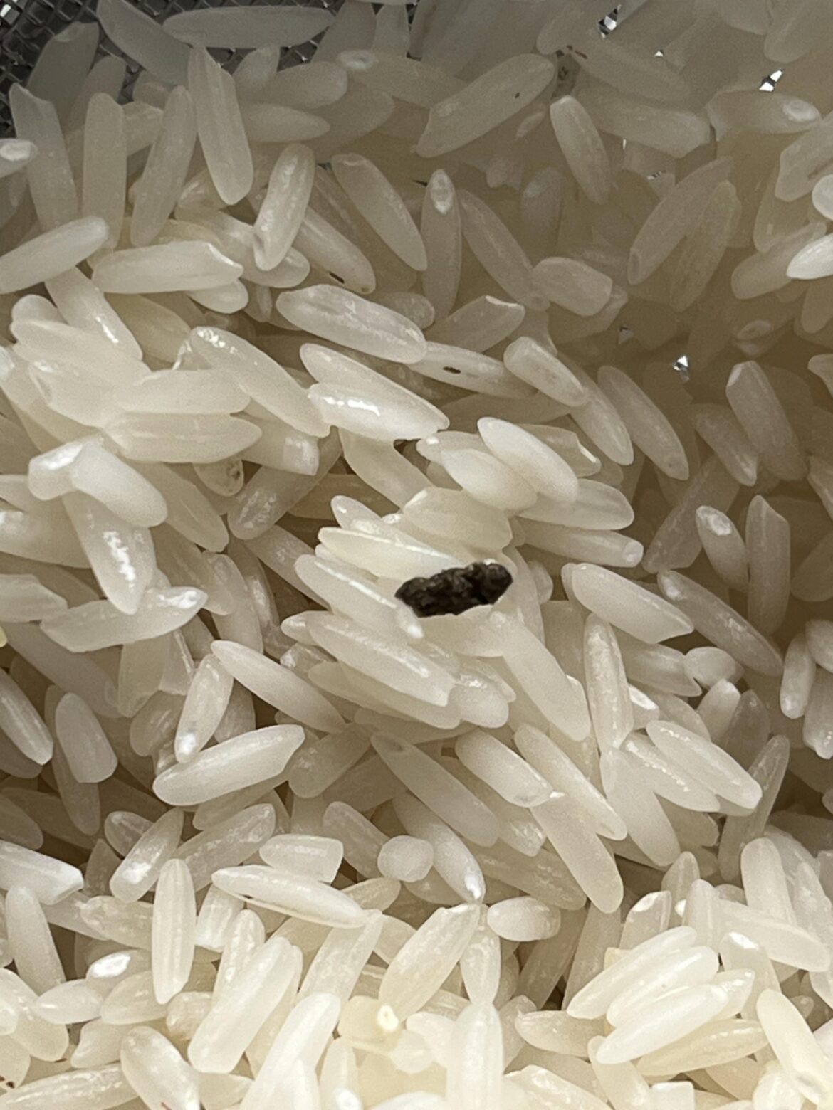 What’s in my rice?