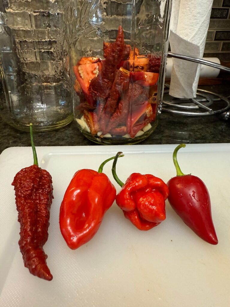 Had a bad large batch, but on to a new ferment with this mix! Had a bad large batch, but on to a new ferment with this mix!