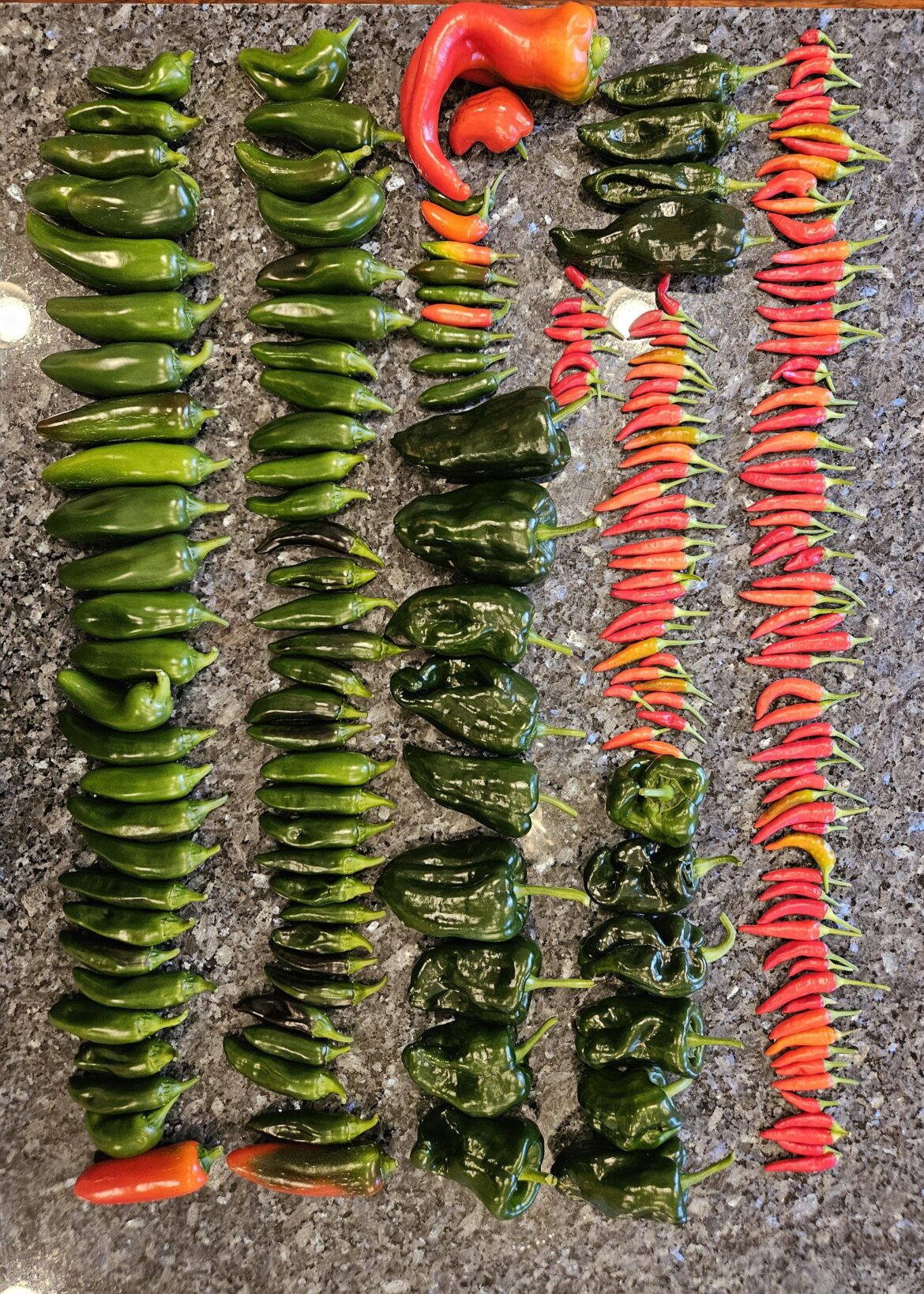 Now What?? Anyone have good recipes?