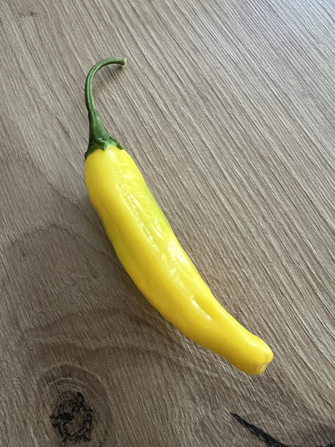 Ají Limón is delicious