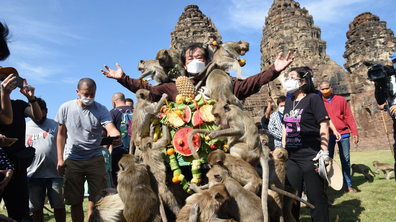People in medical masks stand among anceint ruins with a tower of fruits and vegetables that has monkeys crawling all over it