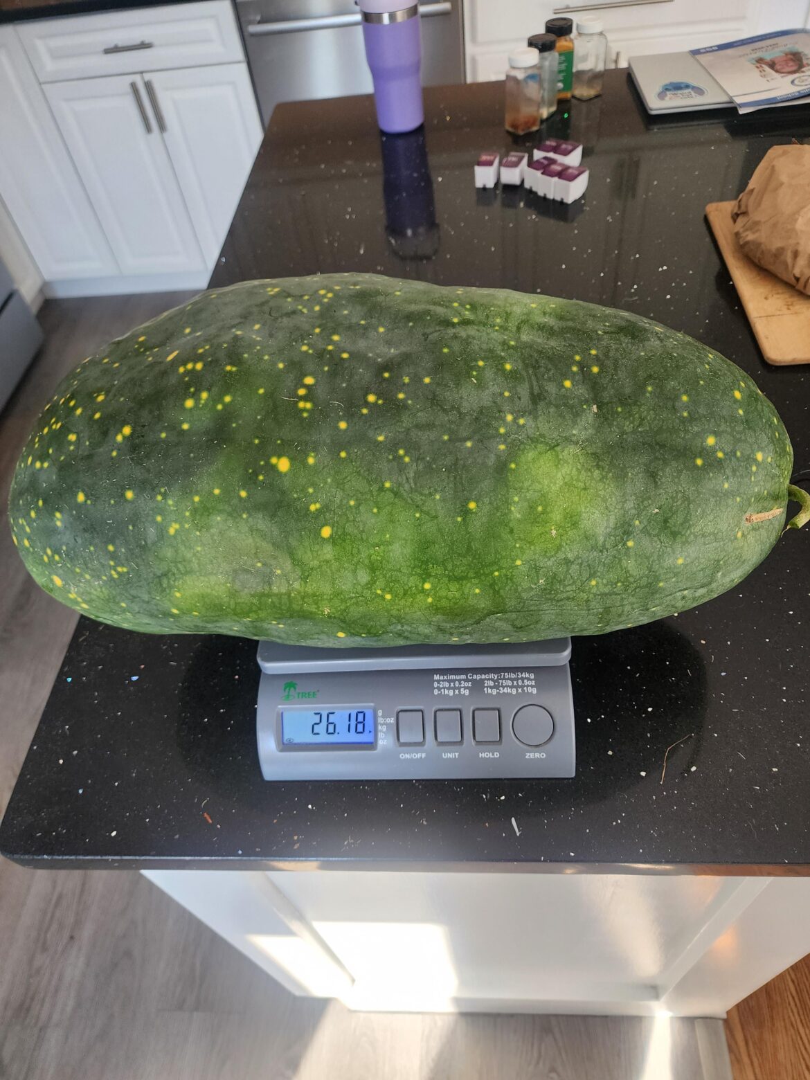 My biggest watermelon!