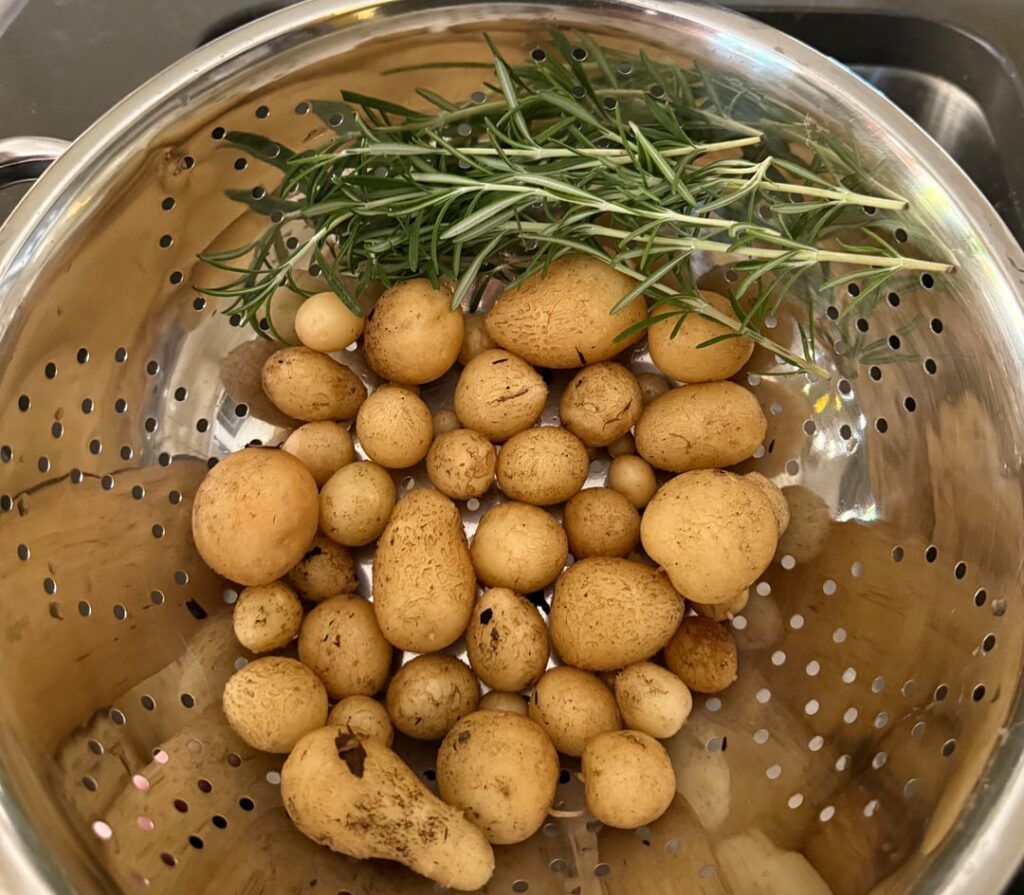 I finally managed to grow something edible (and tasty!)