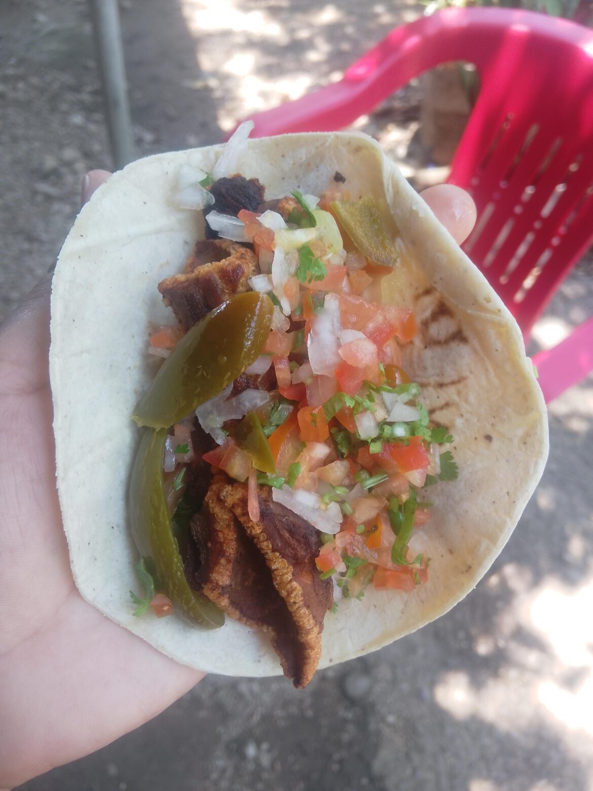 Taquito de chicharrón 😋