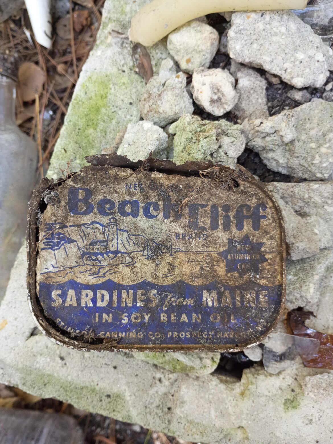 found this in the woods and I'm trying to figure out what year it is from