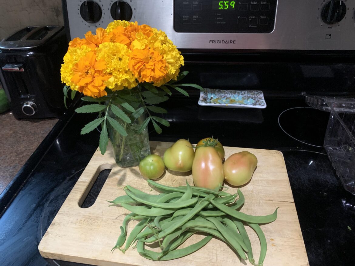 My humble daily harvest featuring a marigold bouquet 🥰