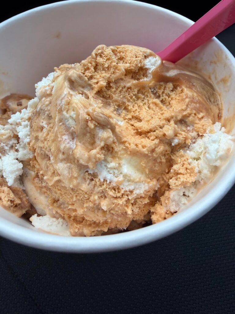 Baskin Robbins Pumpkin Cheesecake