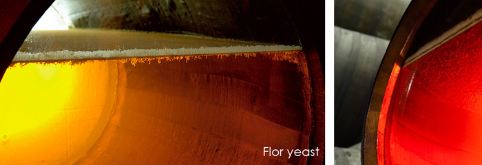 an example of a flor.