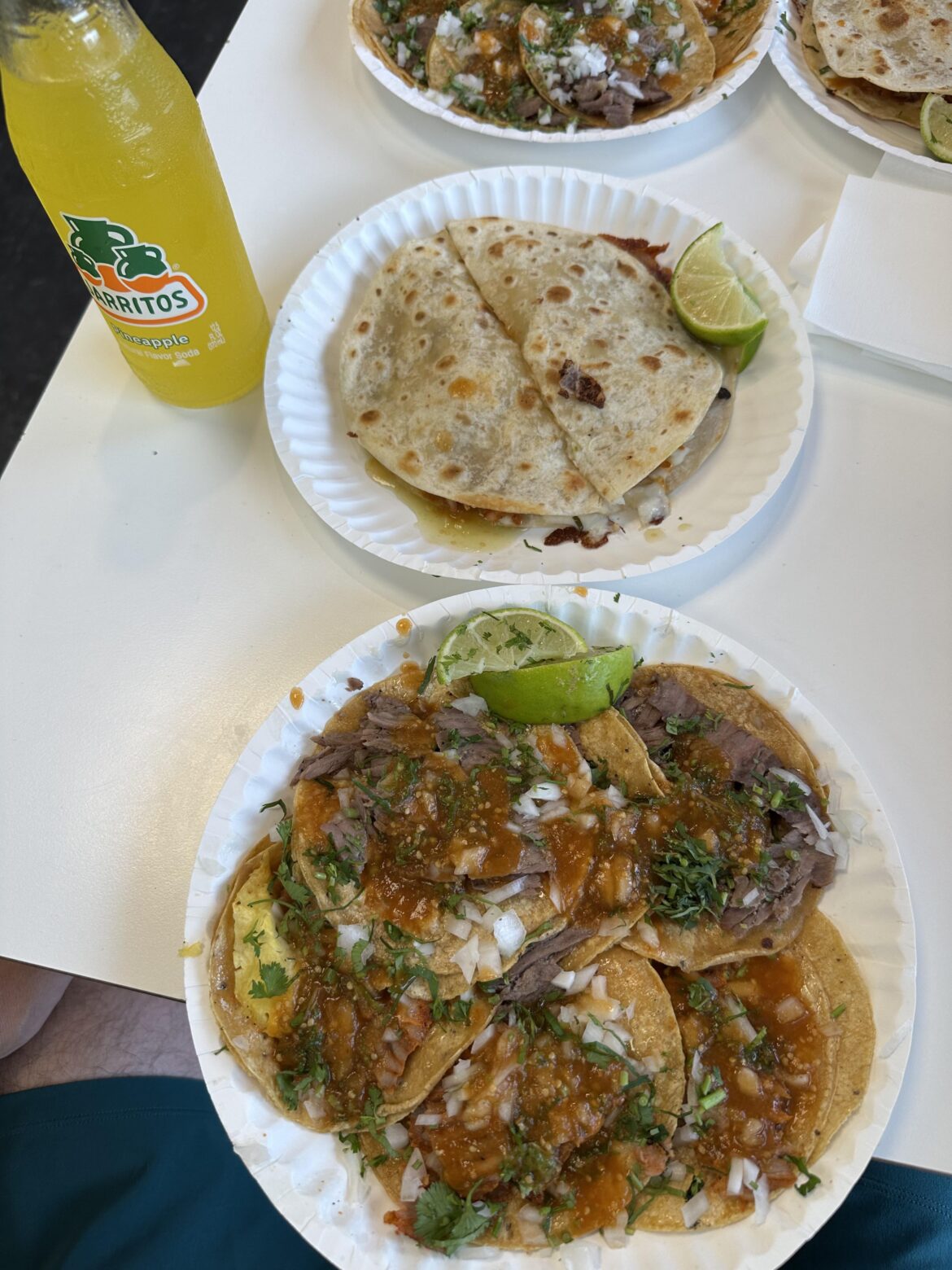 Al pastor and sirloin taco plate and al pastor quesadilla