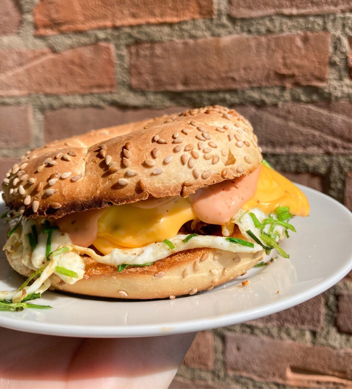 cheesy chive & beef bagel sandwich. w/ over easy egg