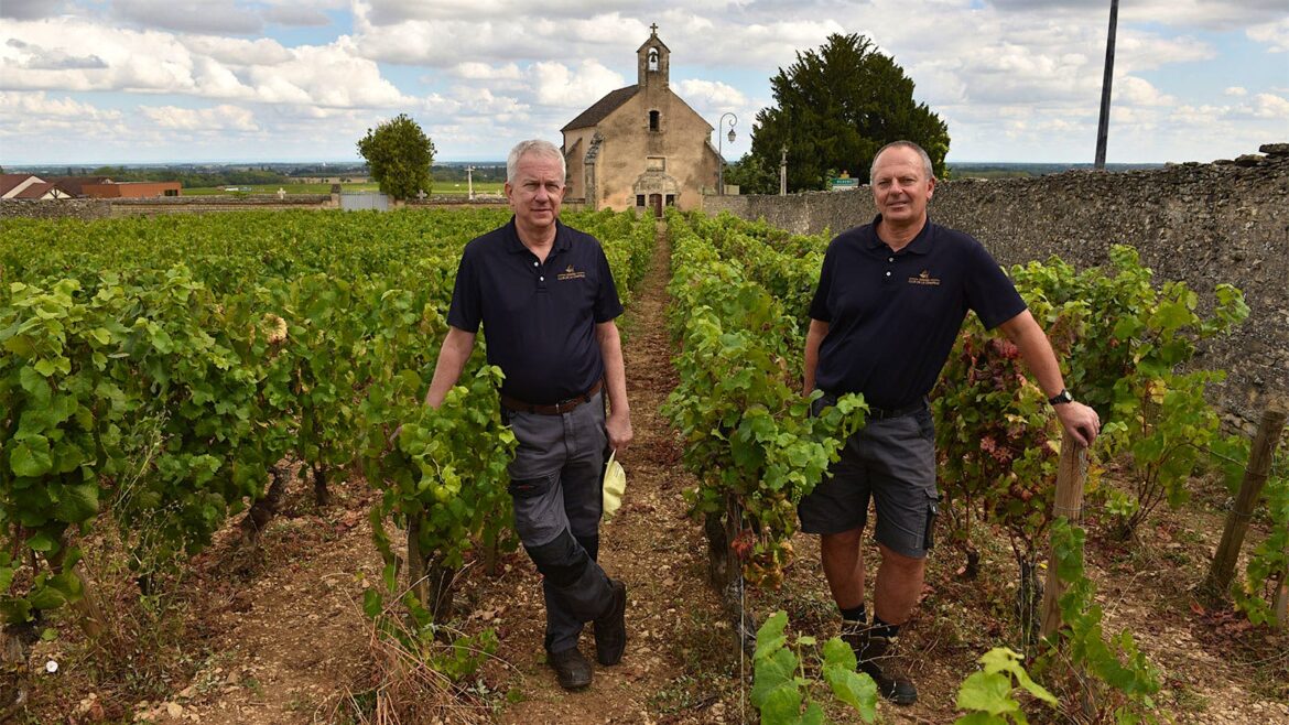 French Wineries Grapple with U.S. Tariffs French Wineries Grapple with U.S. Tariffs