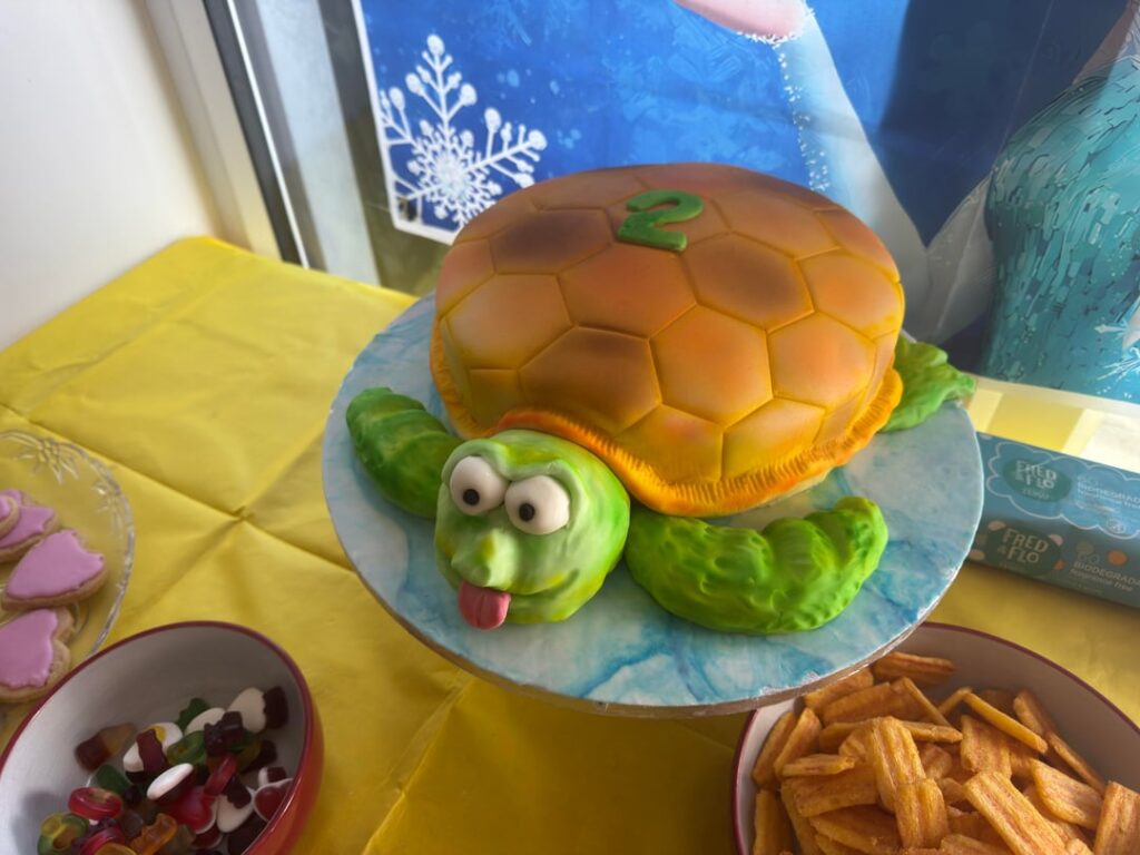 Turtle Cake