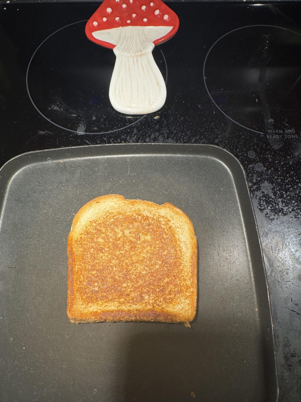 The perfect Tuesday night grilled cheese 🧀✨