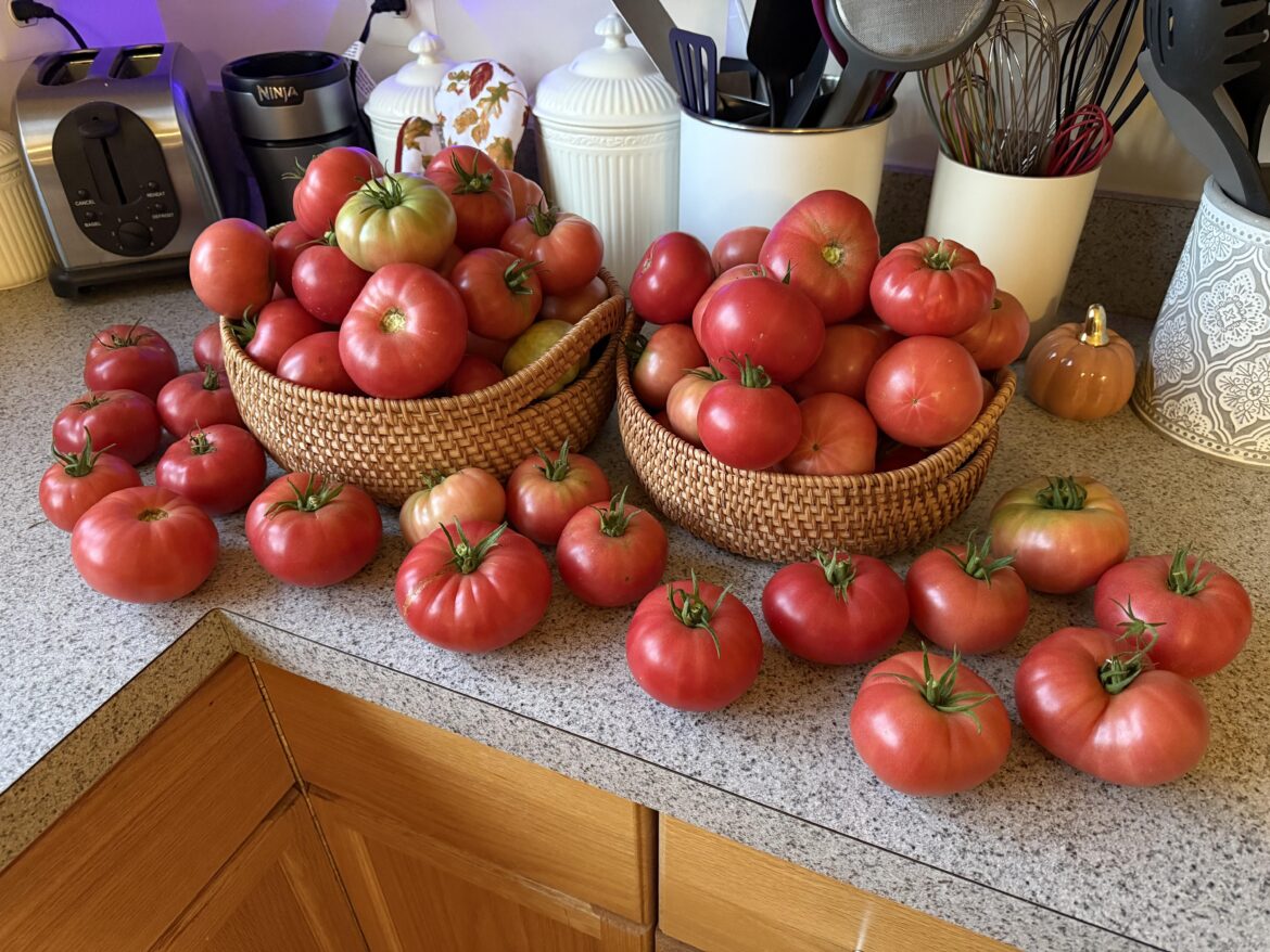 Rutgers - My favorite!