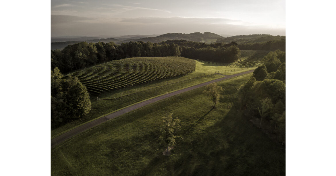 Dynamis Estate Wines Named a 2025 Wine Enthusiast Wine Star Award Nominee for American Winery of the Year