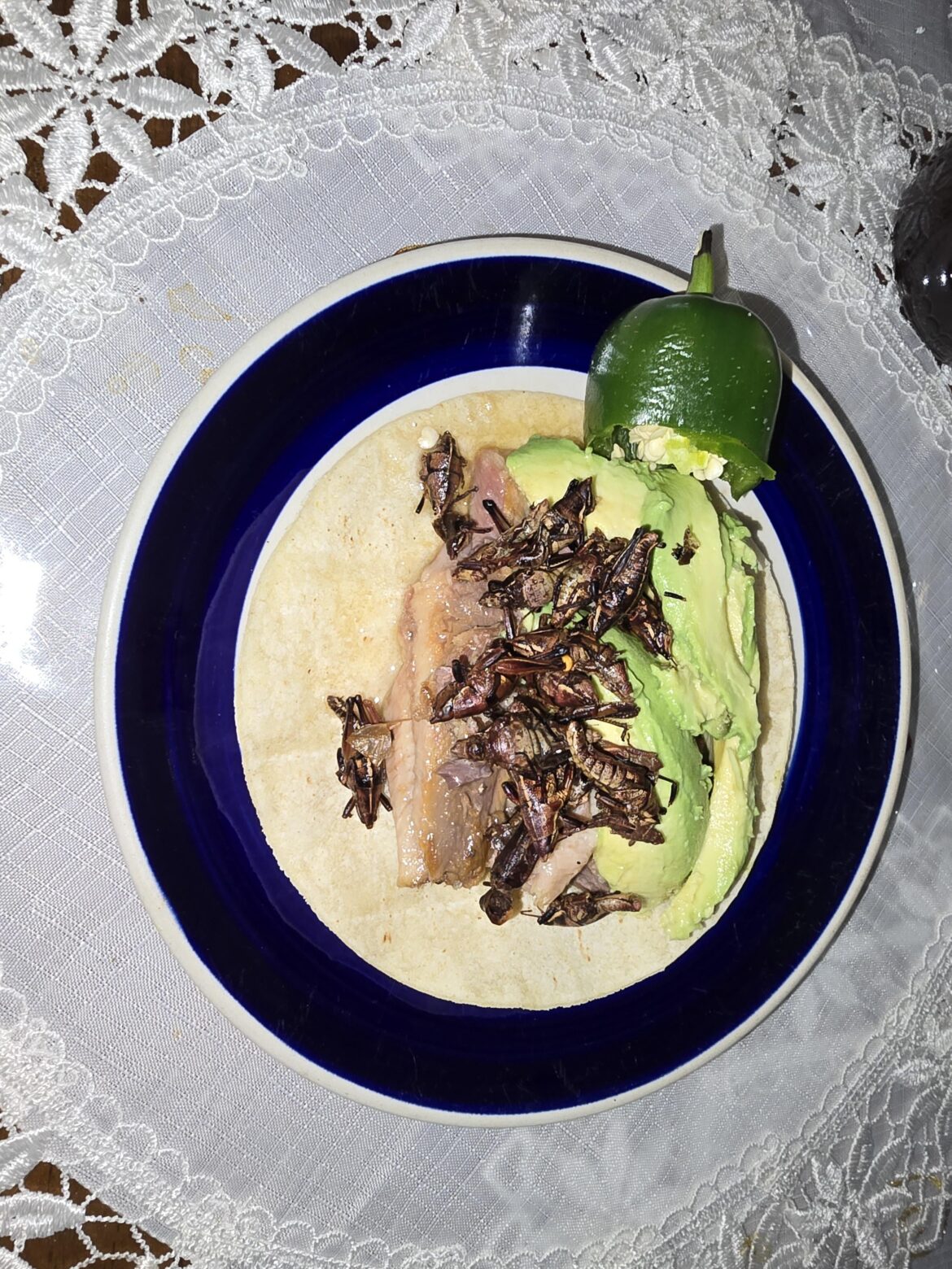 Sardine, avocado and chapulines taco for lunch (with a jalapeno at the side)