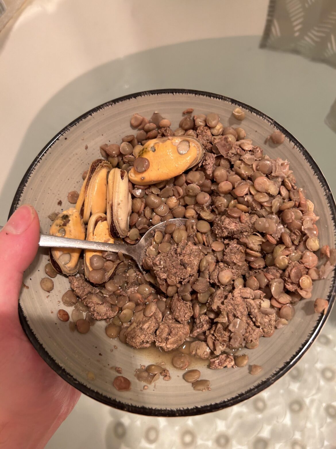 A meal I made over a year ago. Lentils, mussels and liver