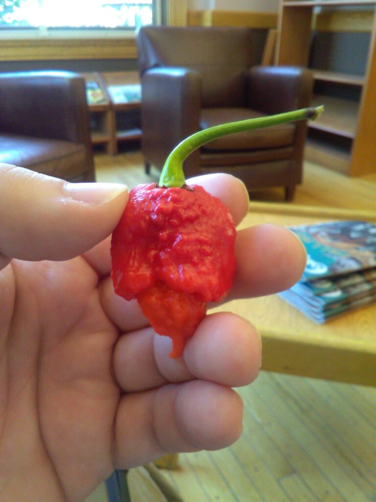 Just LOOK at this thing!