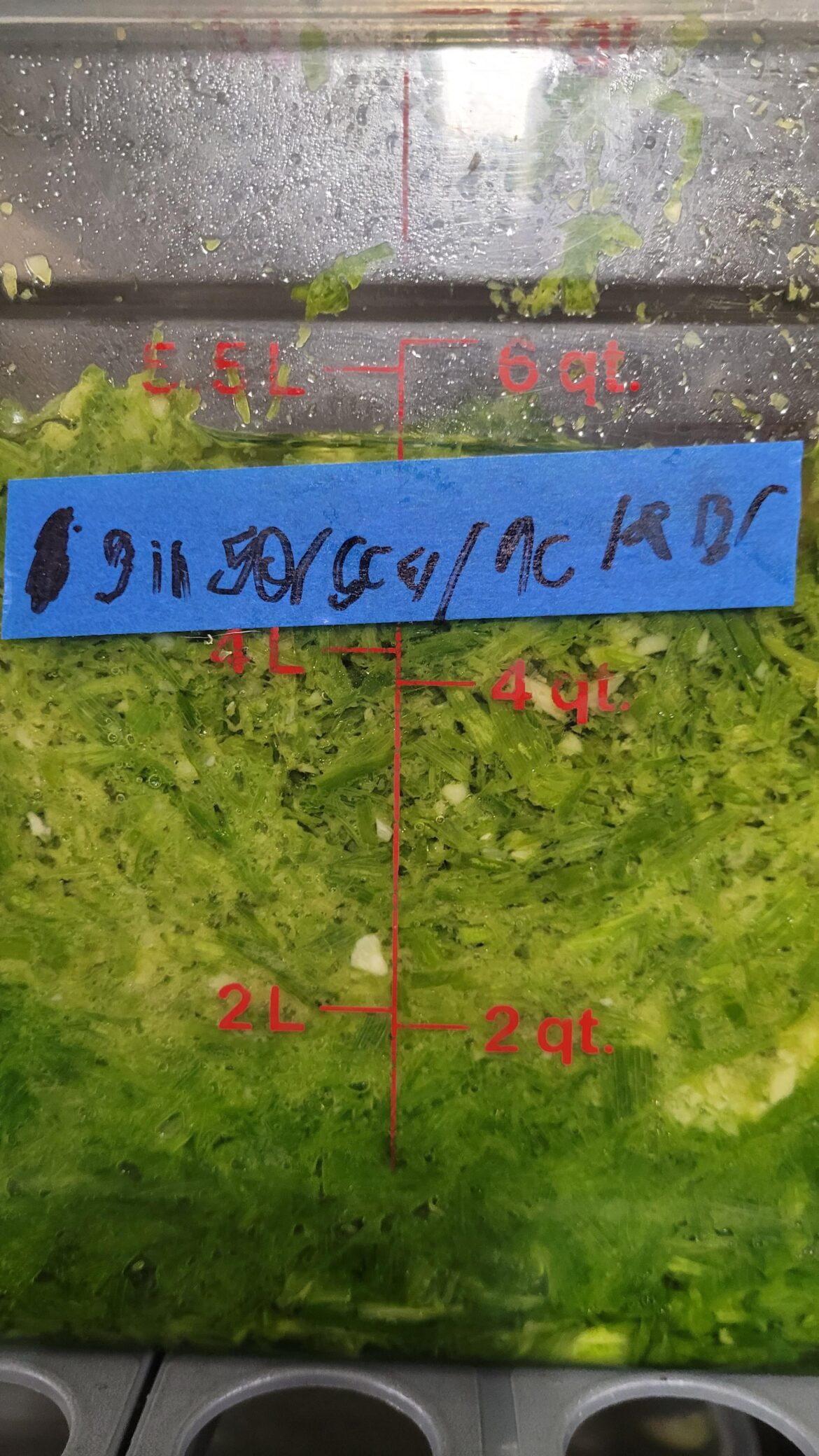 The new person's handwriting